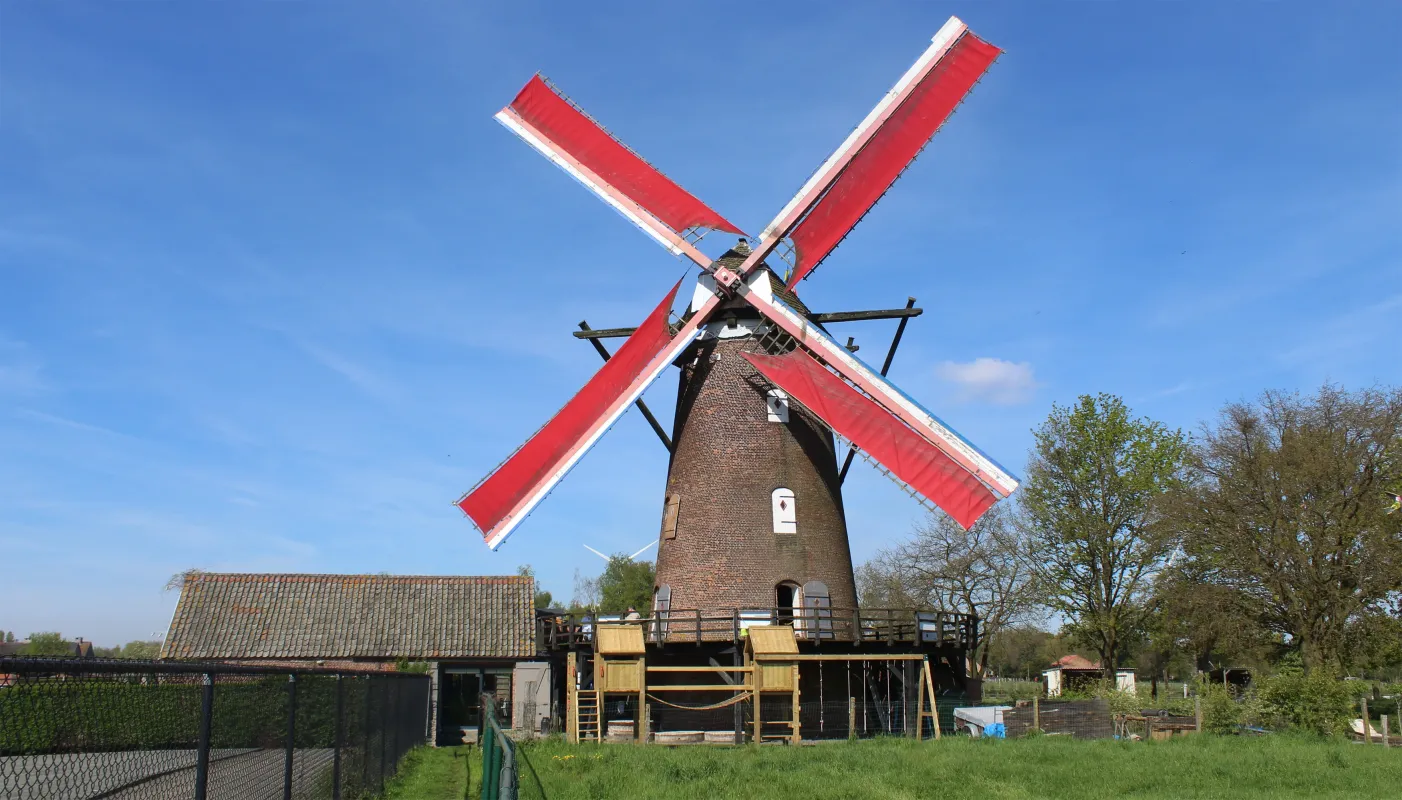 Buitenmolen, Westmolen