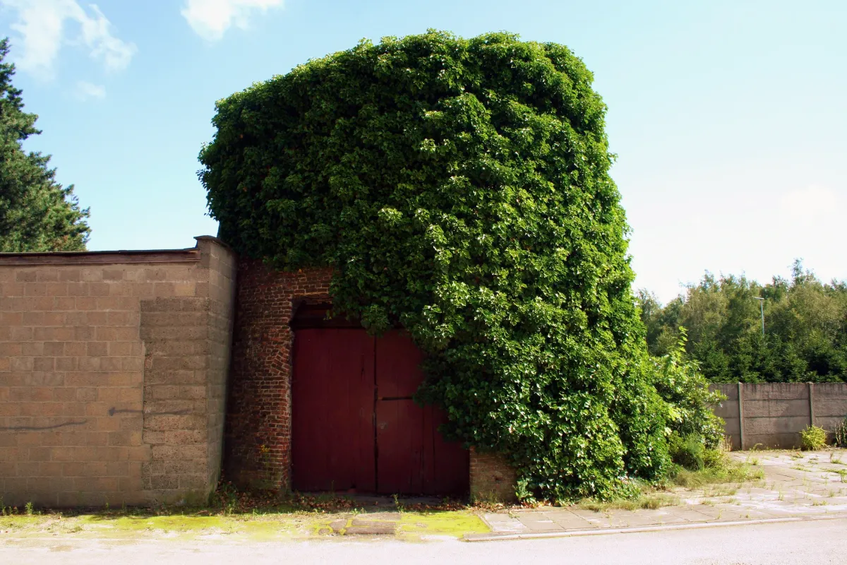 Bekijk molen Witte Molen<br>Molen Embrechts