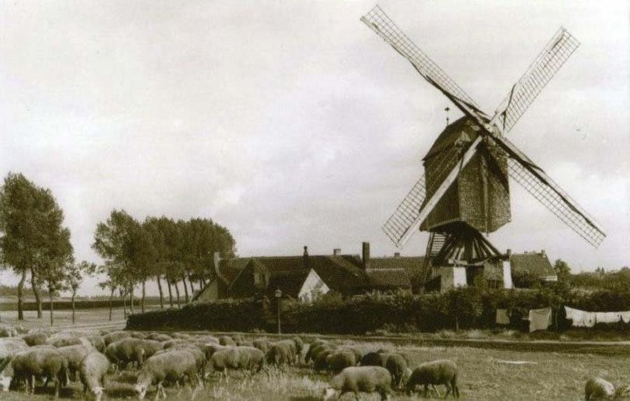 Beerschotmolen Molen van het Kiel