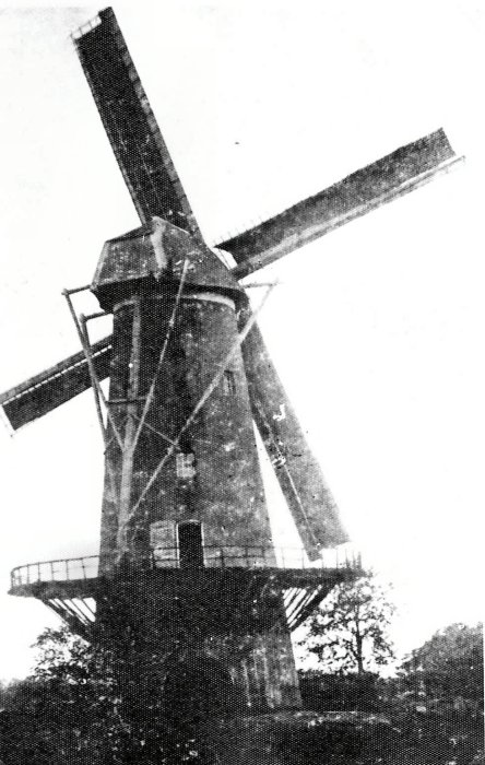 Halmolen Molen Raeymaekers