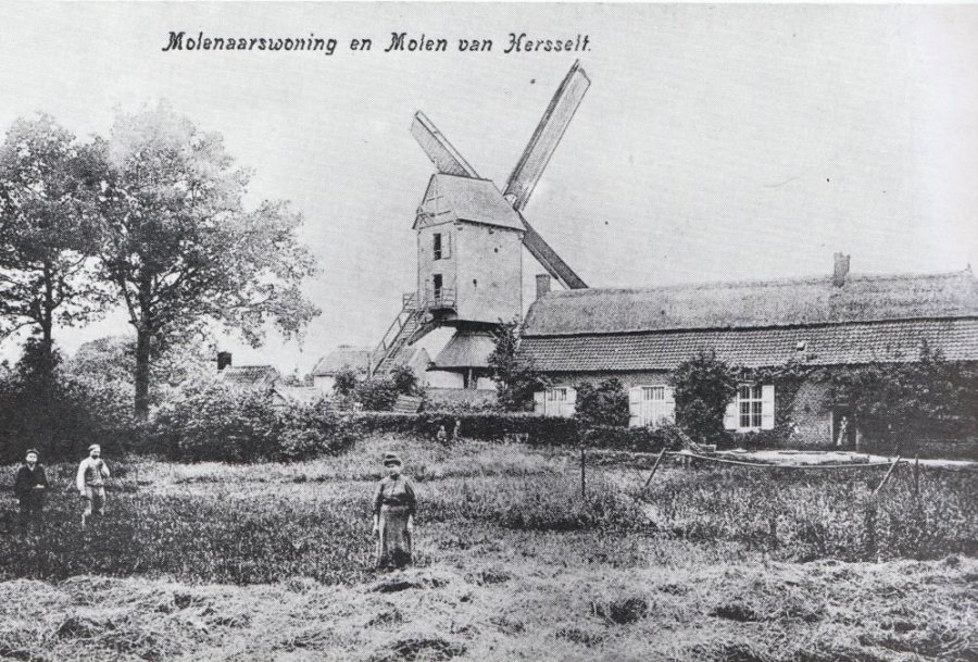 Oude Molen Molenbergmolen Voskensmolen