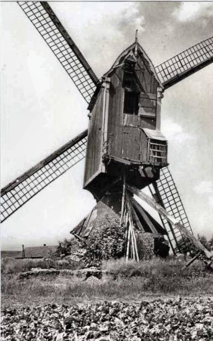 Sint-Lenaartsmolen Molen van het Heiken Molen van het Molenheike Nieuwe Molen Molen van Meeussen Molen van Biteut Sint-Leonardsmolen