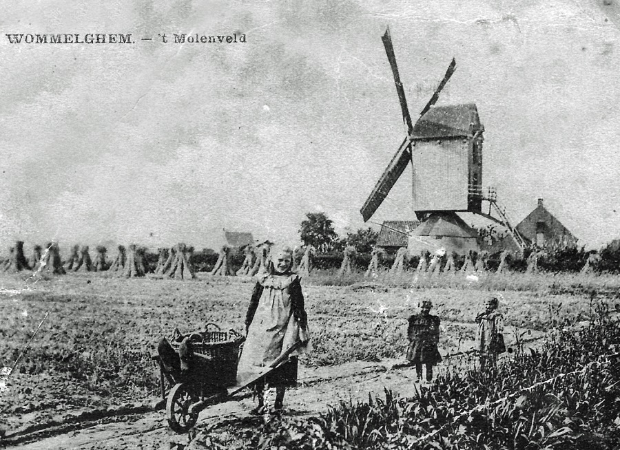 Molen Goris