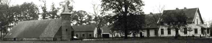 Molentje van Noordheuvel Molentje van dokter Gits