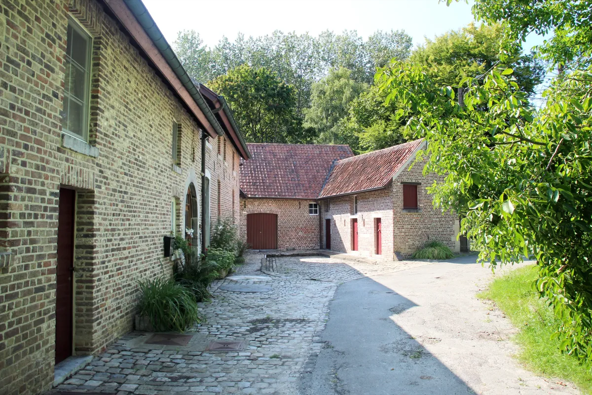 Sassenbroekmolen Molen van Sassenbroek