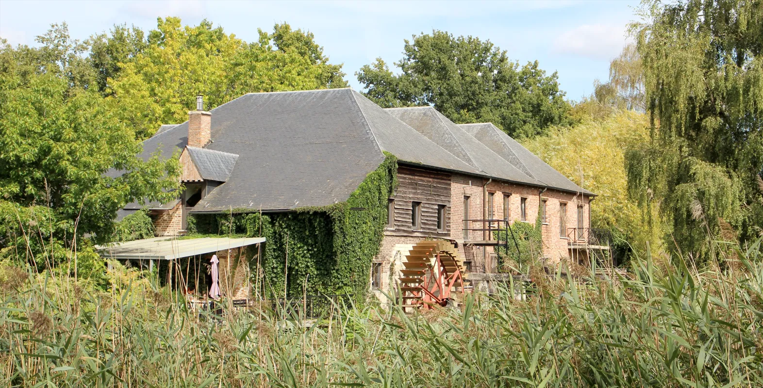 Dorpsmolen Robbenmolen Vlasmolen Taverne Myosotis Restaurant Aan het Water