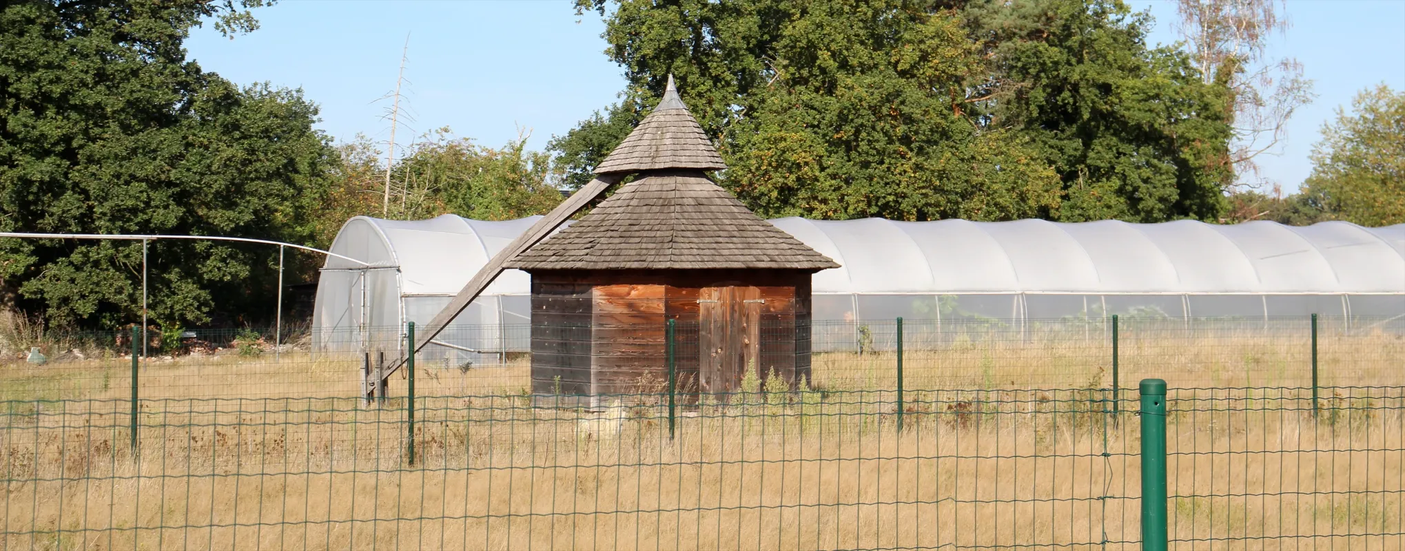 Rosmolen van De Hoev