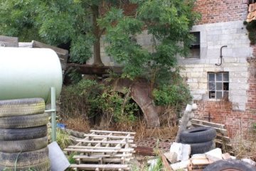 Dorpsmolen van Kerkom Bavingenmolen Kerkommolen