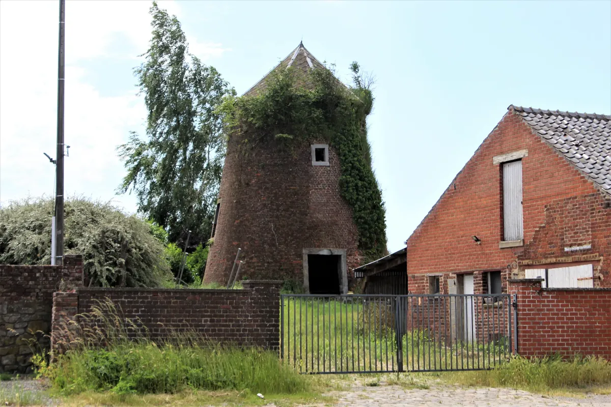 Moulin à Vent Moulin de Tongrinne