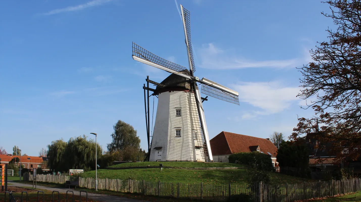 Witte Molen