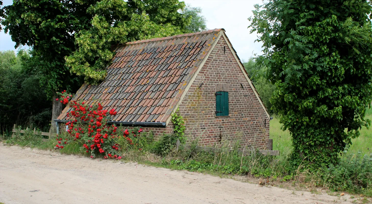 Molentje van Wassenhove