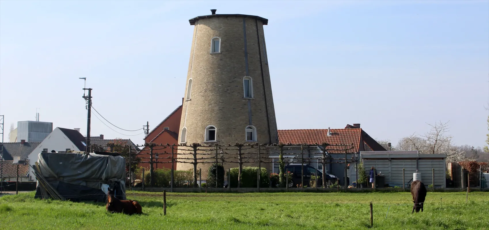 Roosbloemmolen Molen Schreyen