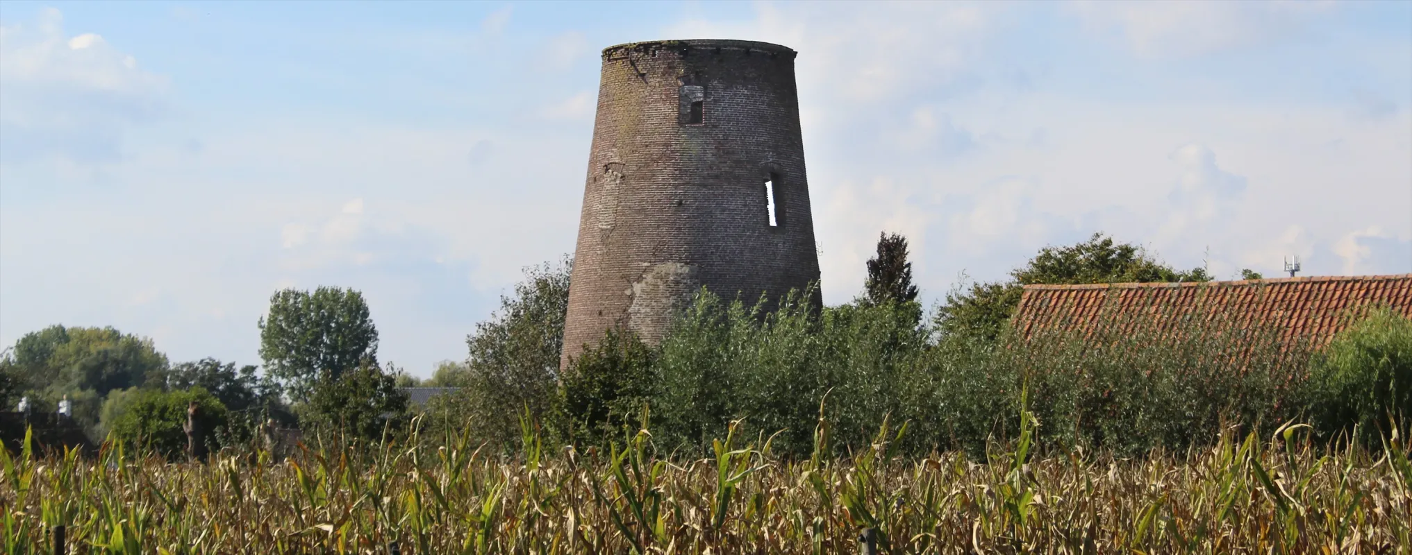 Baelkes molen Steyaertsmolen