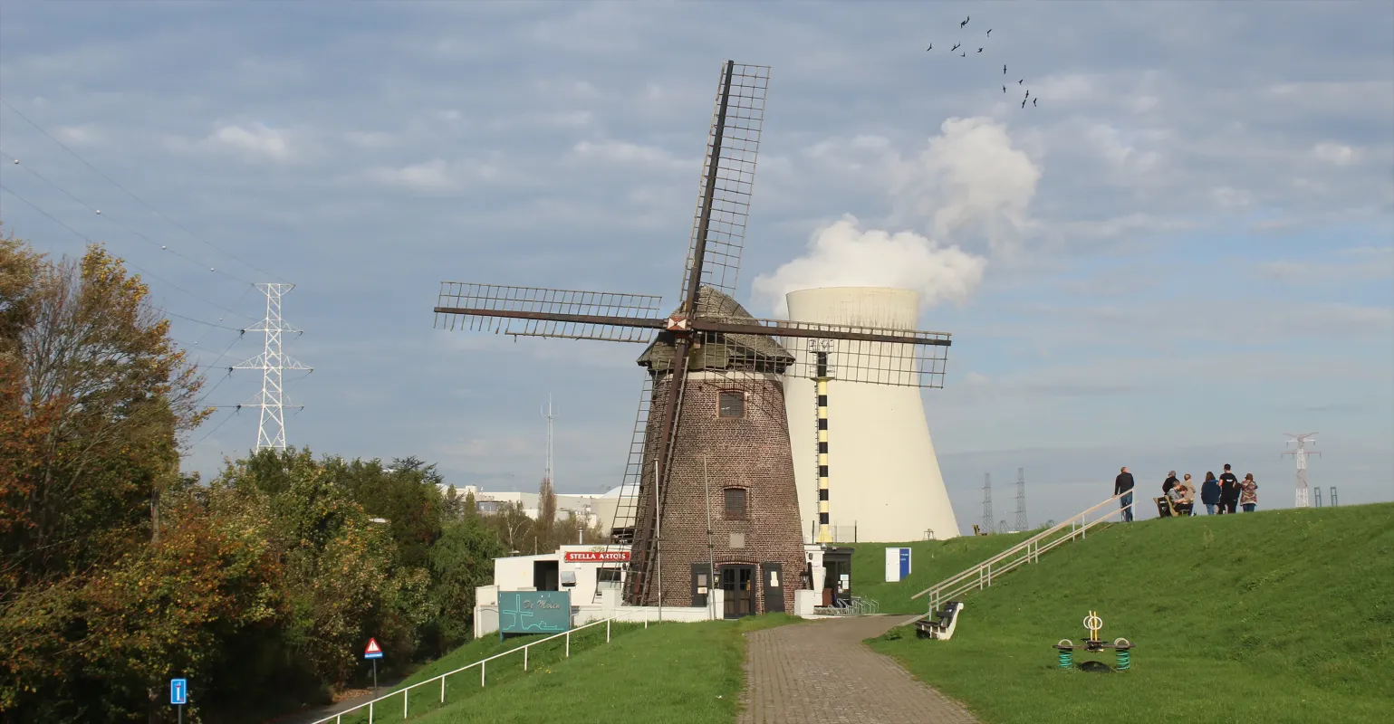 Scheldedijkmolen Scheldemolen Molen van Doel Dijkmolen