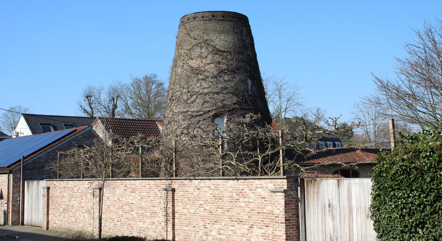 Molen Auman Molen Buyst