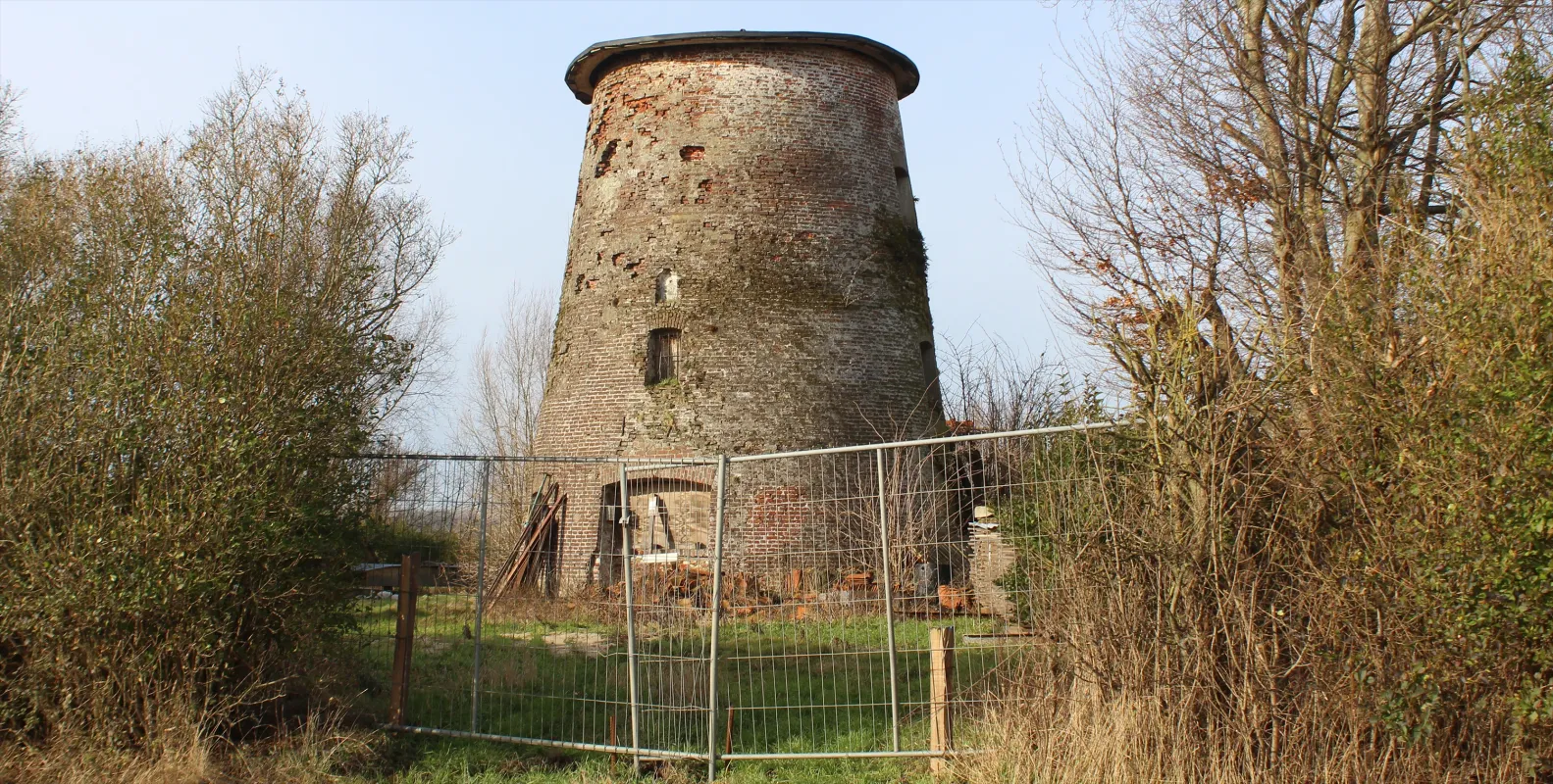 Tarandusmolen Molen 't Hogervuren