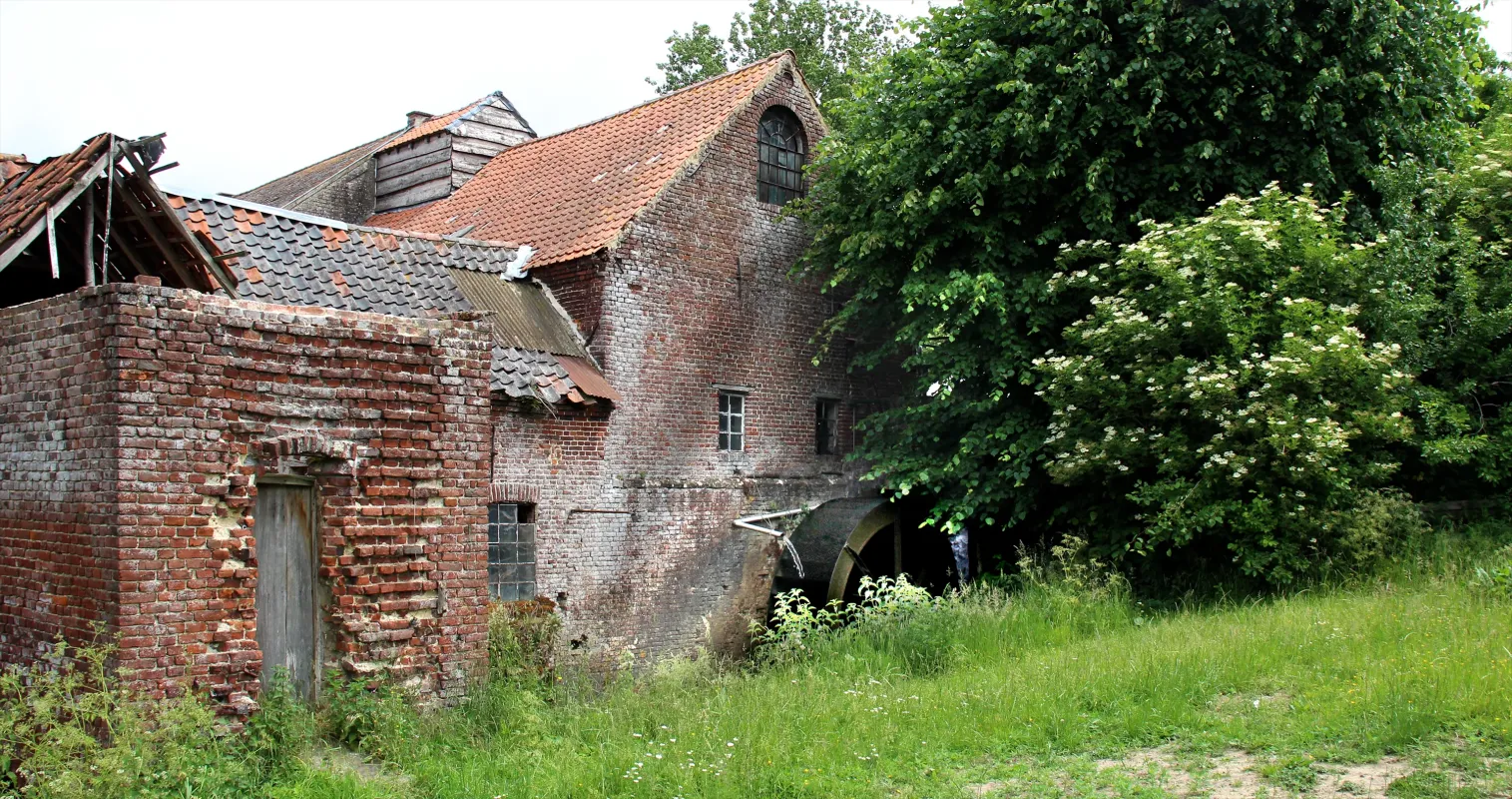 Van Den Borres Molen Molen Van Den Borre