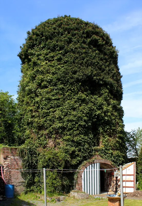 Weiveldmolen Molen De Decker