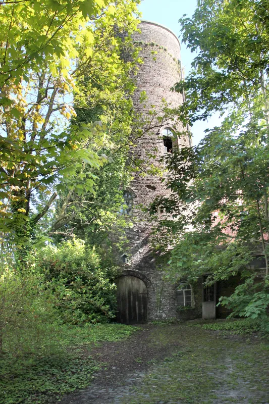 Devreesesmolen, Molen Devreese