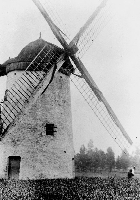 Molen De Wolf Windstampmolen