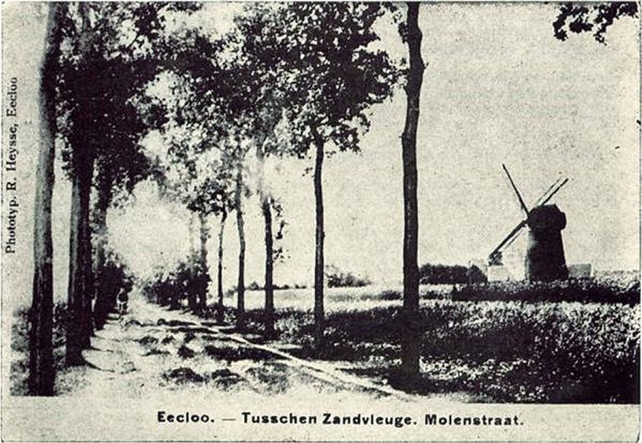 Zandvleugemolen Molen Van Waesberghe Molen De Poorter