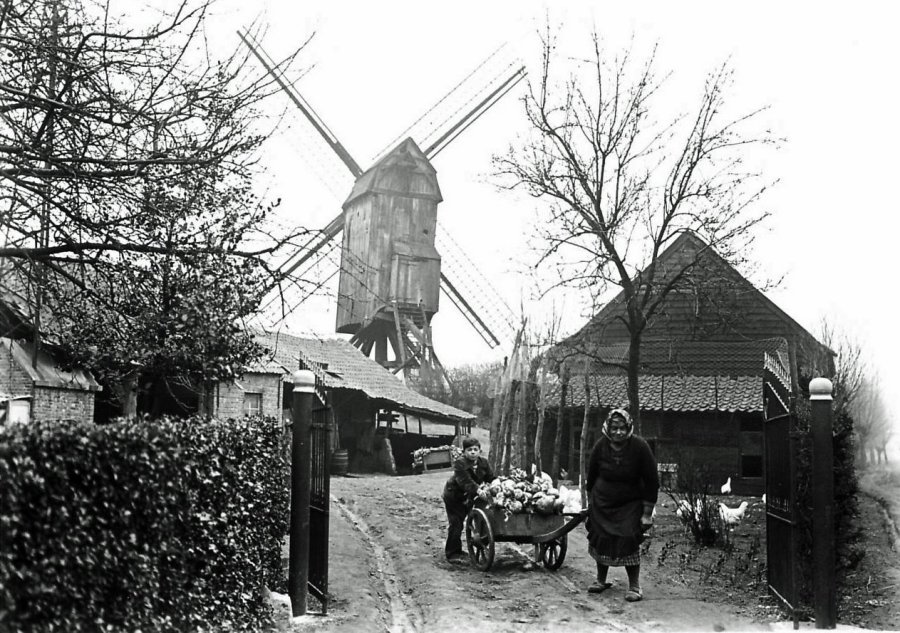 Fonteinemolen Korenmolen Cornelis Braemmolen