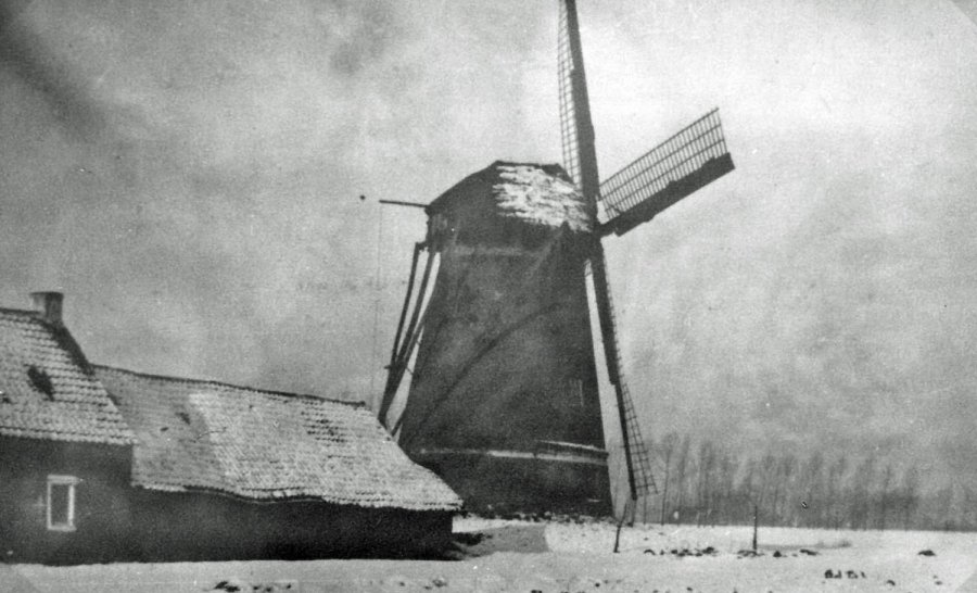 Hollandse Oliewindmolen, Oliemolen Wauman