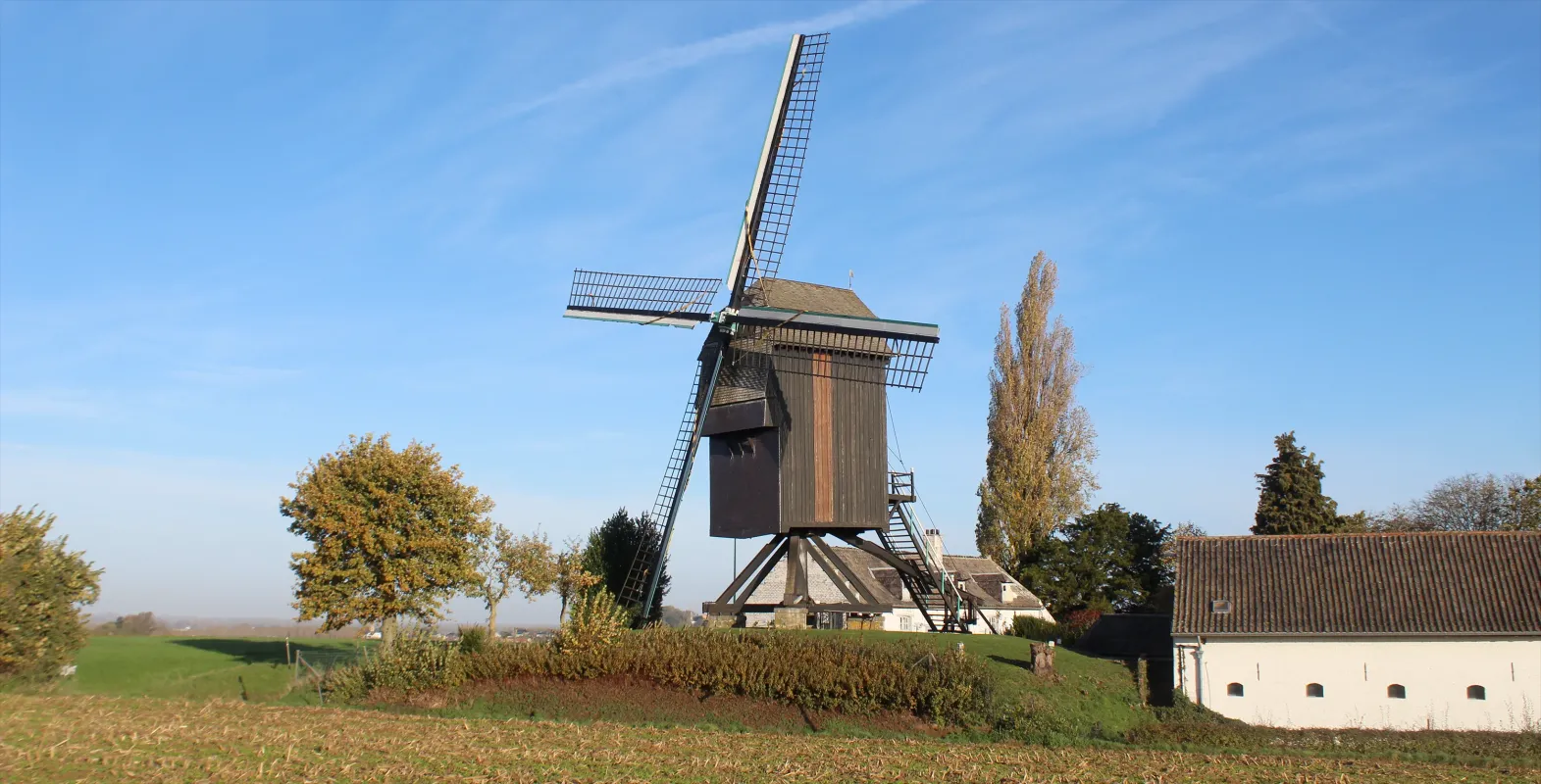 Hertboommolen Tragische Molen Zepposmolen Molen van Lombeek