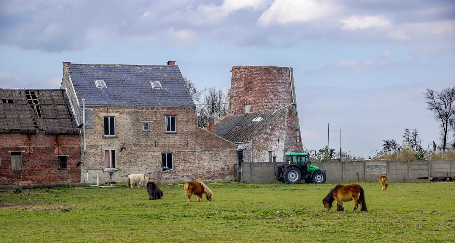 Molen Van Der Straeten Vanstraetensmolen