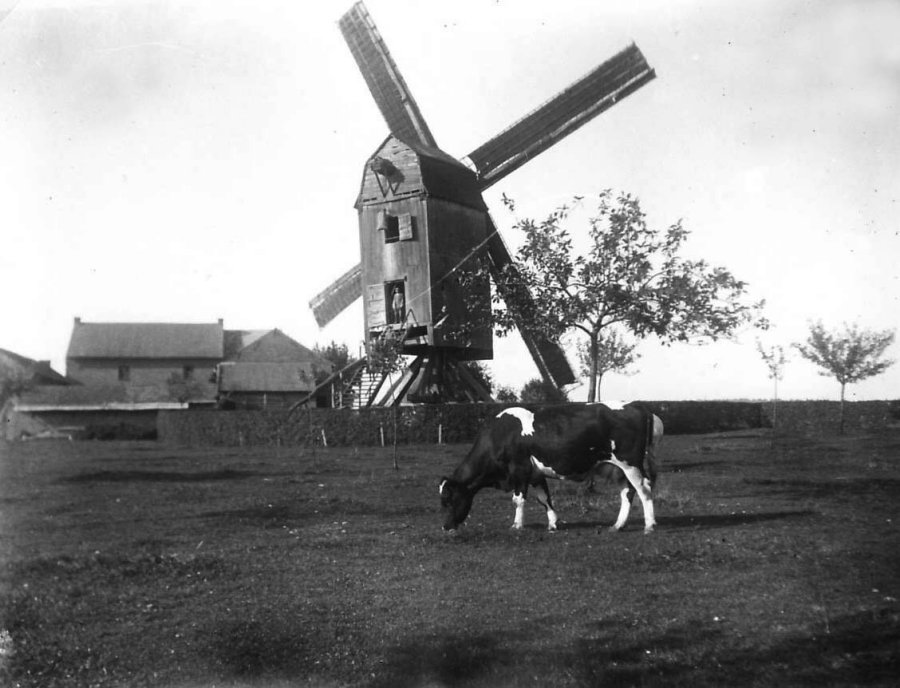 Molen Vanderwaeren Windmolen van Miskom