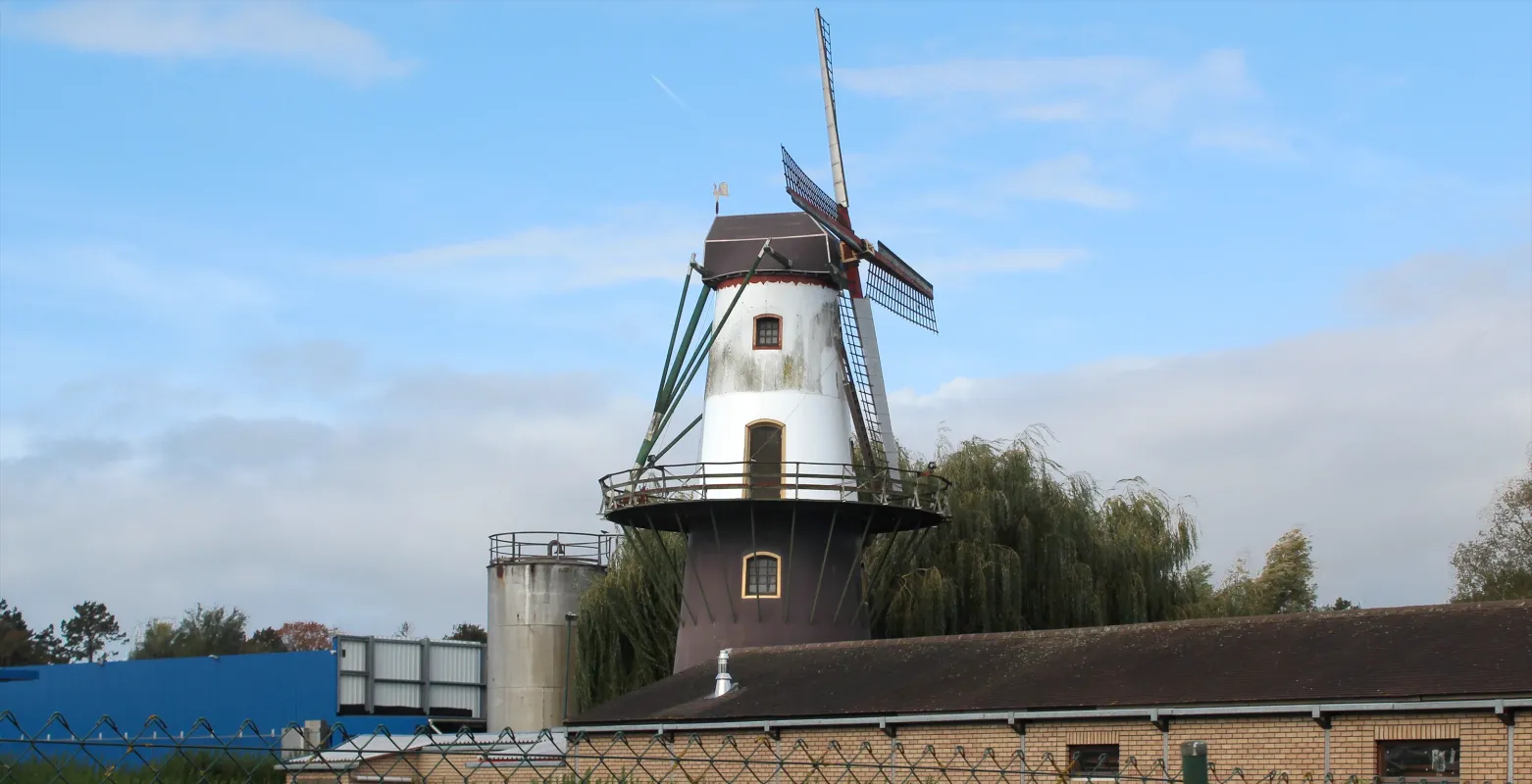 Zephyrusmolen