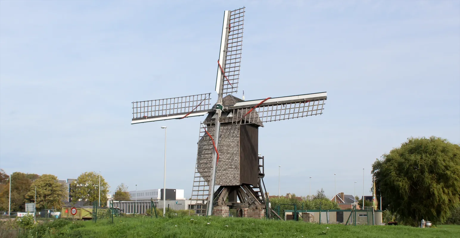 Duiveltje der Nachten