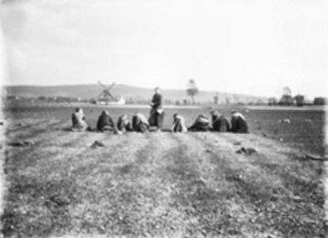 Kapellemolen Molen te Rugge Scheldemolen Molen Maes