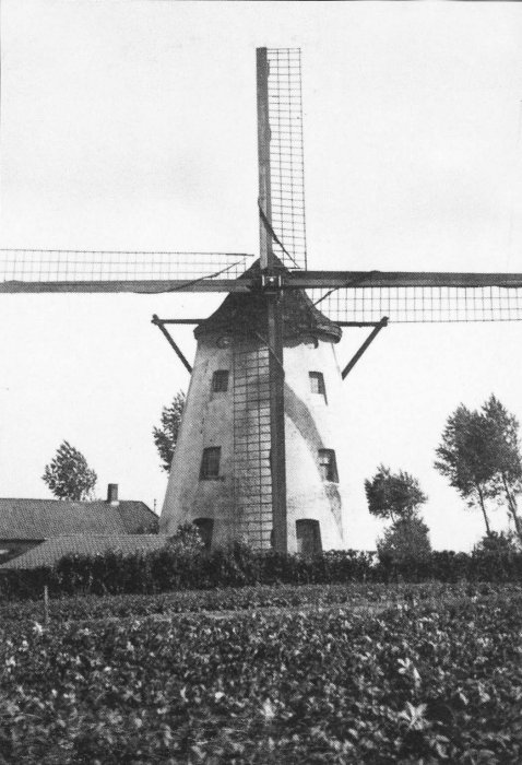 Witte Molen Molen Allegaert Molen Deleye