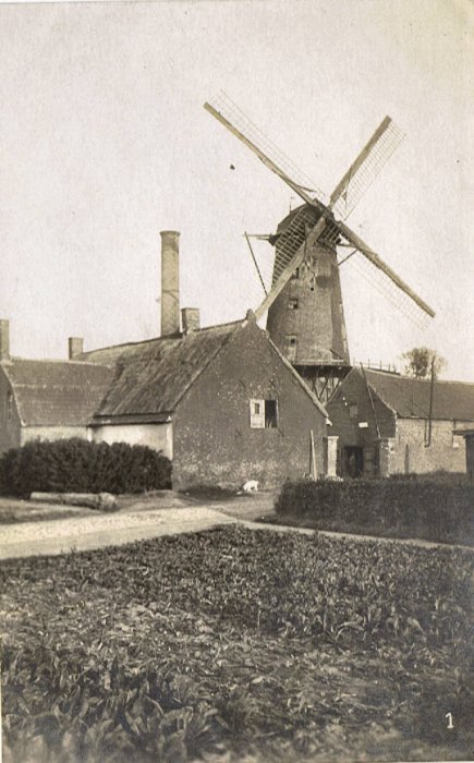Noordmolen Stenen Molen Molen Termote Molen Delbeke