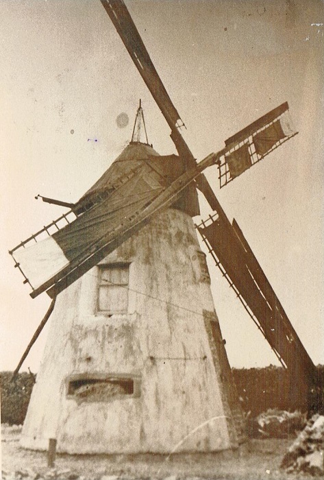 Molentje van Bruiloos (Bruloze)