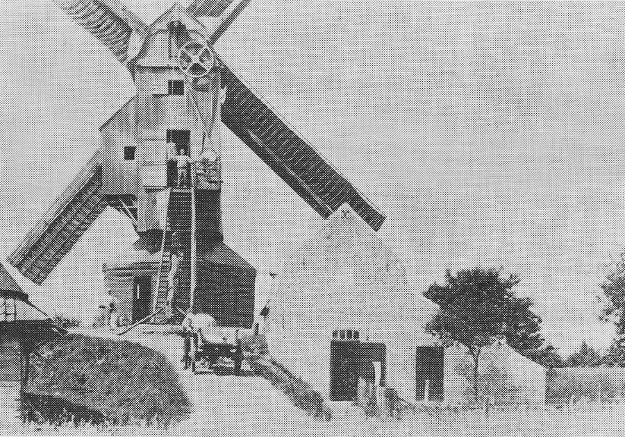 Wambekemolen Nieuwe Molen Blauwepoortmolen